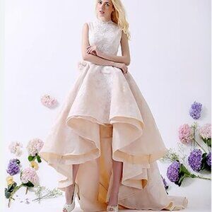 Champagne Lace Wedding Prom Elegant Dress High Low German Designer Size 10